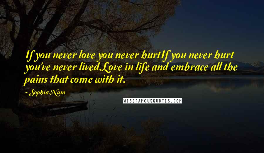 Sophia Nam Quotes: If you never love you never hurtIf you never hurt you've never lived.Love in life and embrace all the pains that come with it.
