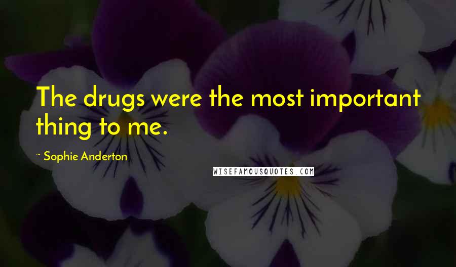 Sophie Anderton Quotes: The drugs were the most important thing to me.