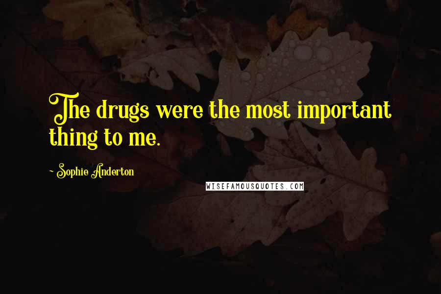 Sophie Anderton Quotes: The drugs were the most important thing to me.