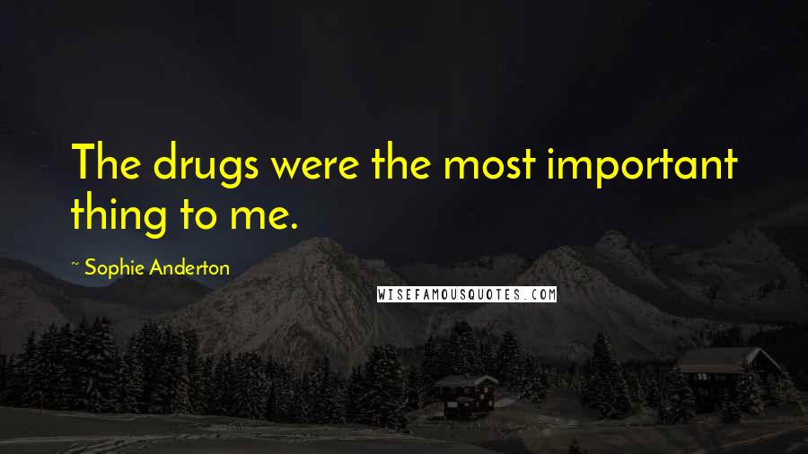 Sophie Anderton Quotes: The drugs were the most important thing to me.