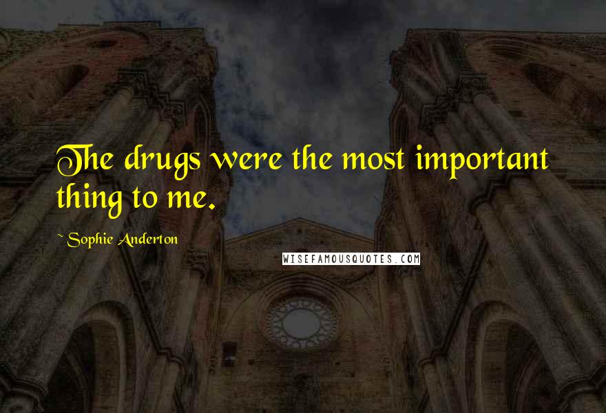 Sophie Anderton Quotes: The drugs were the most important thing to me.