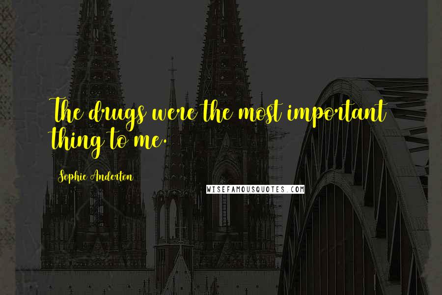Sophie Anderton Quotes: The drugs were the most important thing to me.