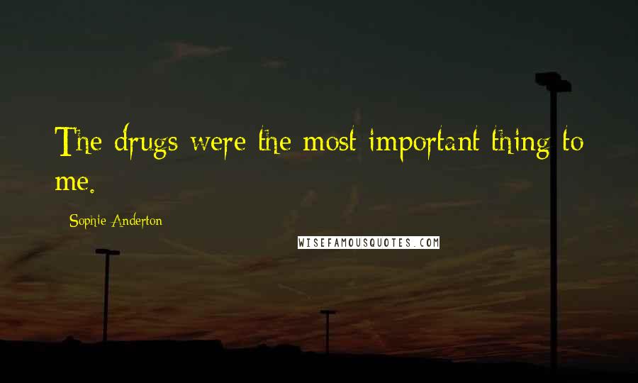 Sophie Anderton Quotes: The drugs were the most important thing to me.