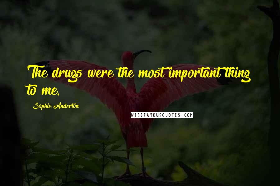 Sophie Anderton Quotes: The drugs were the most important thing to me.