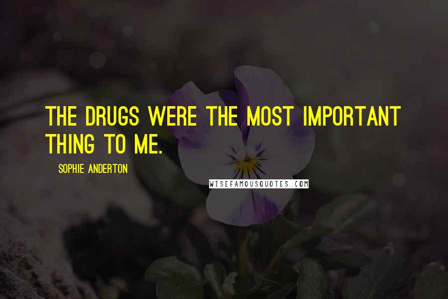 Sophie Anderton Quotes: The drugs were the most important thing to me.