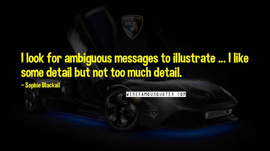 Sophie Blackall Quotes: I look for ambiguous messages to illustrate ... I like some detail but not too much detail.