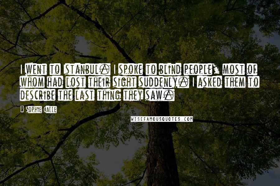 Sophie Calle Quotes: I went to Istanbul. I spoke to blind people, most of whom had lost their sight suddenly. I asked them to describe the last thing they saw.