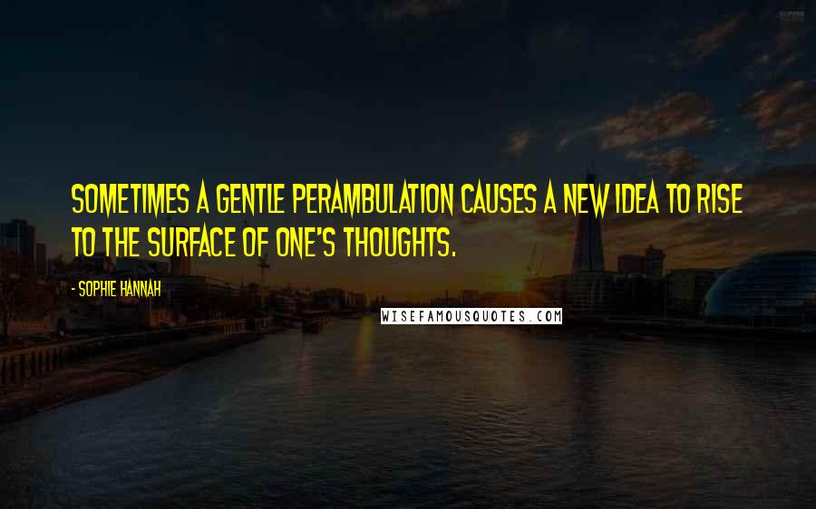 Sophie Hannah Quotes: Sometimes a gentle perambulation causes a new idea to rise to the surface of one's thoughts.