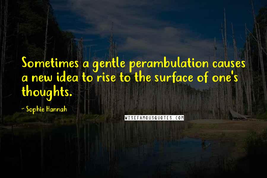 Sophie Hannah Quotes: Sometimes a gentle perambulation causes a new idea to rise to the surface of one's thoughts.
