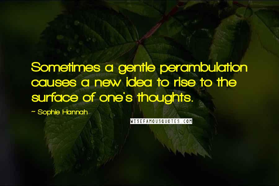 Sophie Hannah Quotes: Sometimes a gentle perambulation causes a new idea to rise to the surface of one's thoughts.