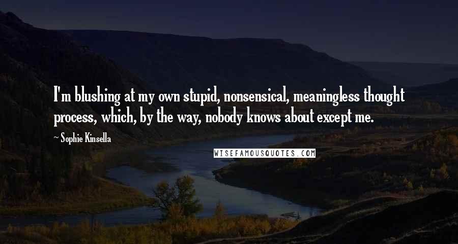 Sophie Kinsella Quotes: I'm blushing at my own stupid, nonsensical, meaningless thought process, which, by the way, nobody knows about except me.