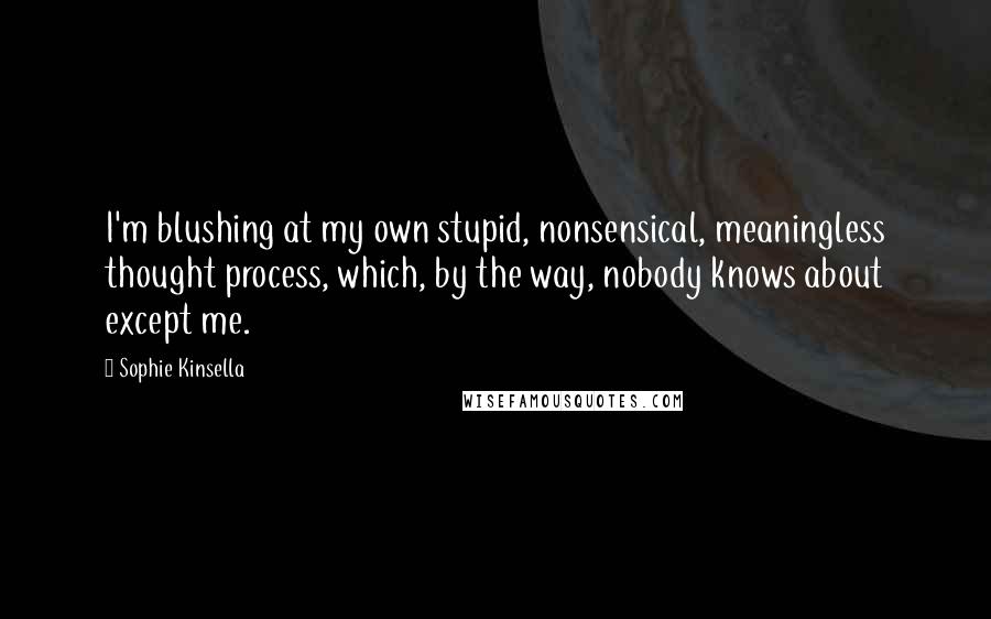 Sophie Kinsella Quotes: I'm blushing at my own stupid, nonsensical, meaningless thought process, which, by the way, nobody knows about except me.