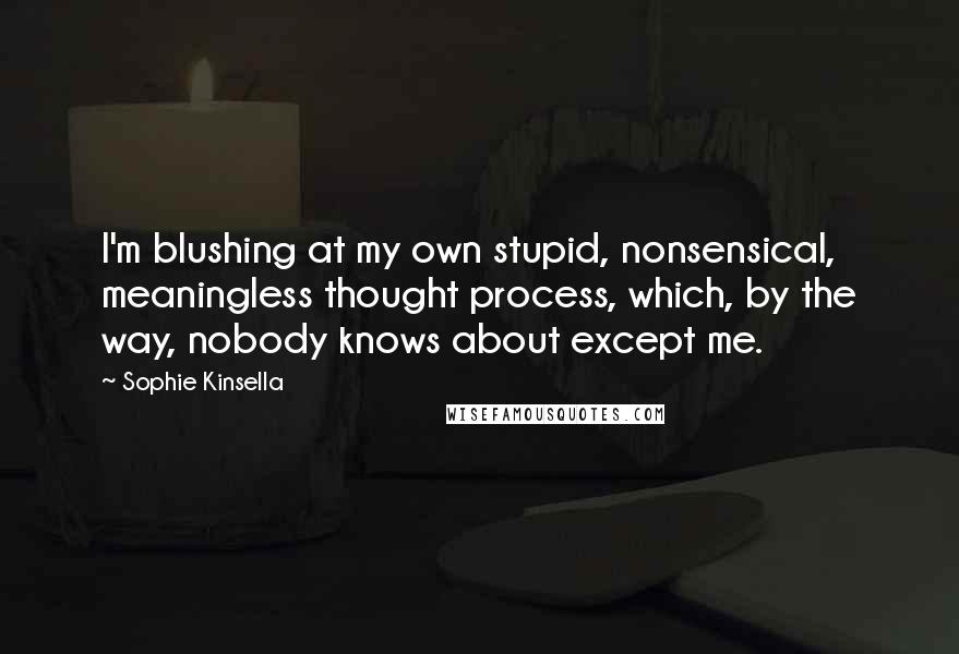 Sophie Kinsella Quotes: I'm blushing at my own stupid, nonsensical, meaningless thought process, which, by the way, nobody knows about except me.