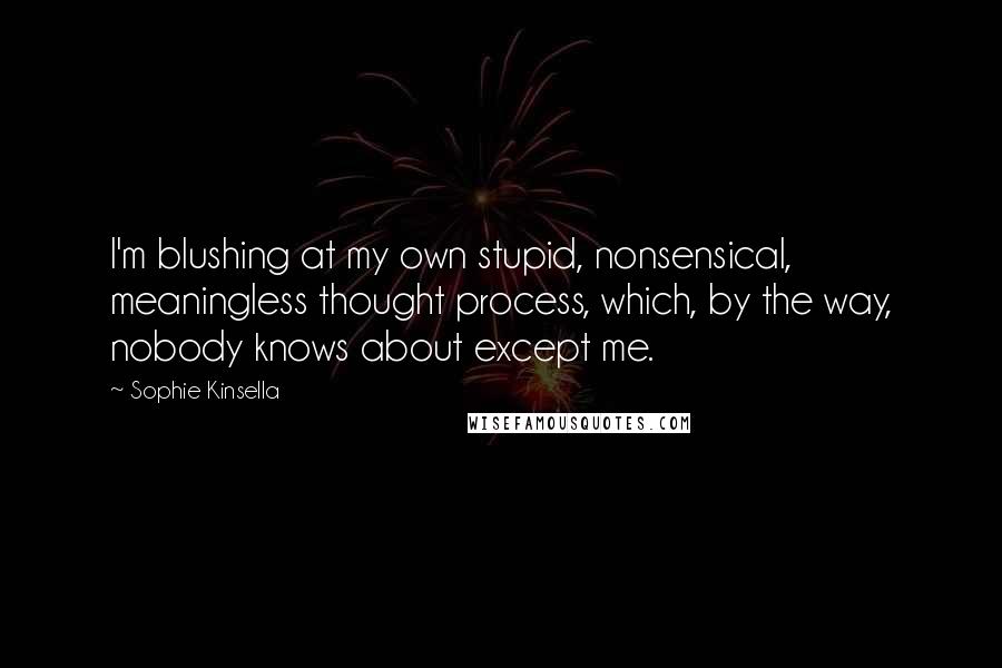 Sophie Kinsella Quotes: I'm blushing at my own stupid, nonsensical, meaningless thought process, which, by the way, nobody knows about except me.
