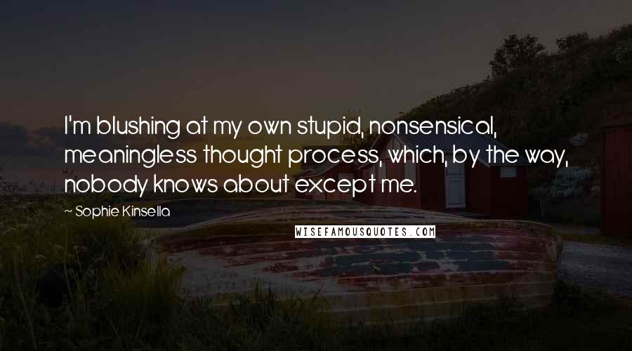 Sophie Kinsella Quotes: I'm blushing at my own stupid, nonsensical, meaningless thought process, which, by the way, nobody knows about except me.