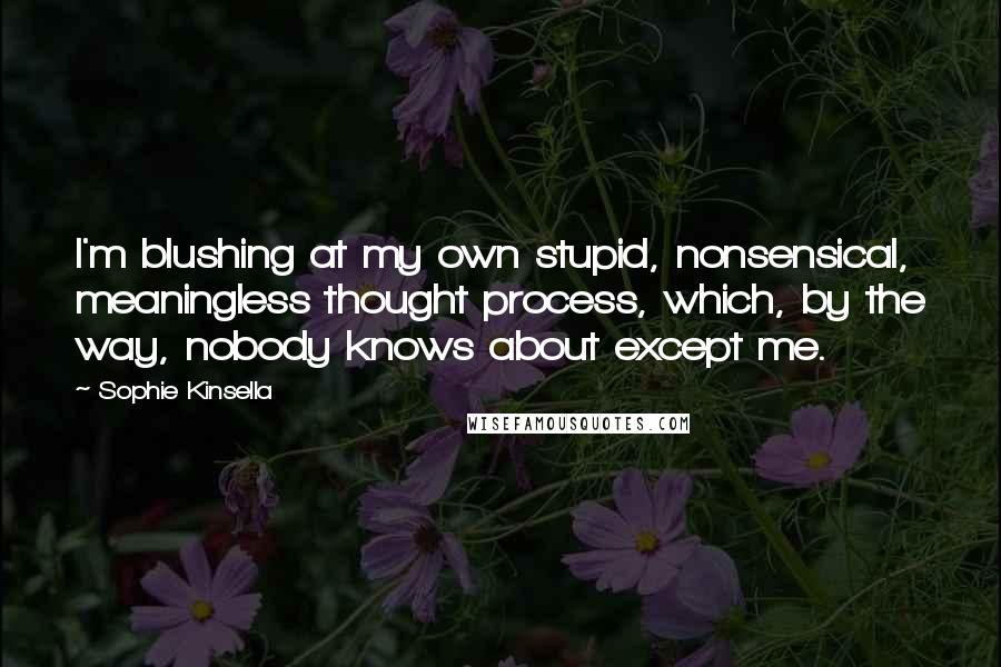 Sophie Kinsella Quotes: I'm blushing at my own stupid, nonsensical, meaningless thought process, which, by the way, nobody knows about except me.