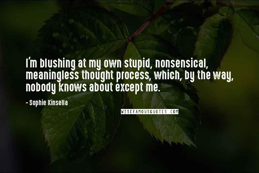 Sophie Kinsella Quotes: I'm blushing at my own stupid, nonsensical, meaningless thought process, which, by the way, nobody knows about except me.