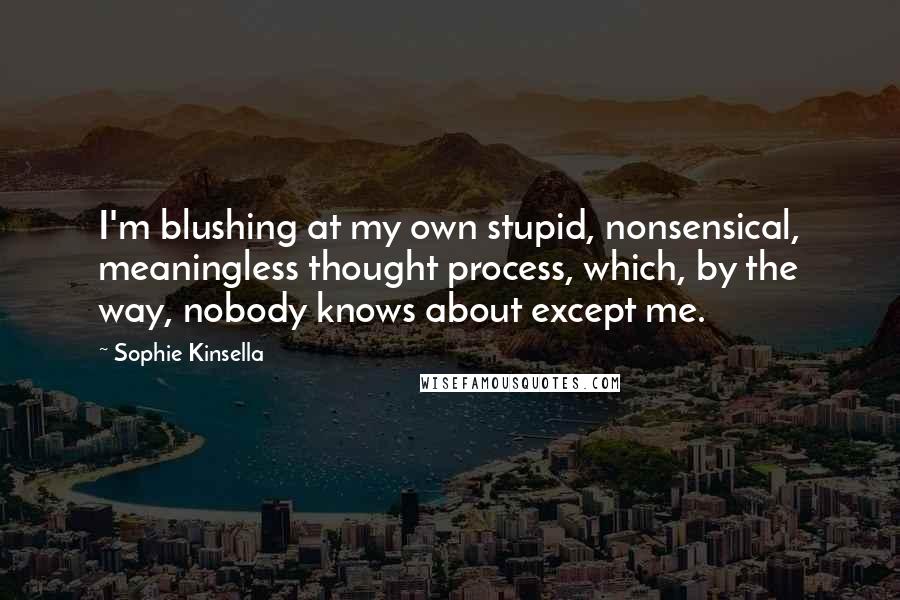 Sophie Kinsella Quotes: I'm blushing at my own stupid, nonsensical, meaningless thought process, which, by the way, nobody knows about except me.