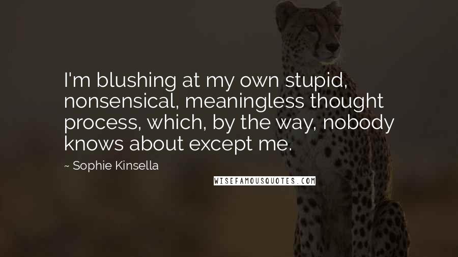 Sophie Kinsella Quotes: I'm blushing at my own stupid, nonsensical, meaningless thought process, which, by the way, nobody knows about except me.