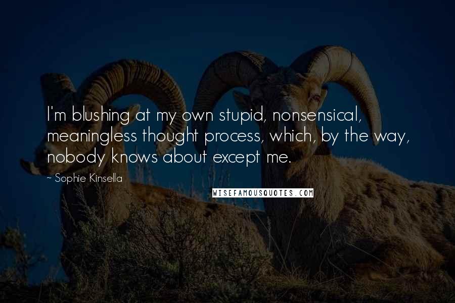 Sophie Kinsella Quotes: I'm blushing at my own stupid, nonsensical, meaningless thought process, which, by the way, nobody knows about except me.