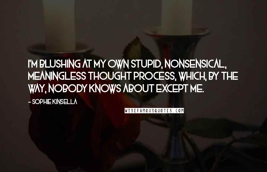 Sophie Kinsella Quotes: I'm blushing at my own stupid, nonsensical, meaningless thought process, which, by the way, nobody knows about except me.