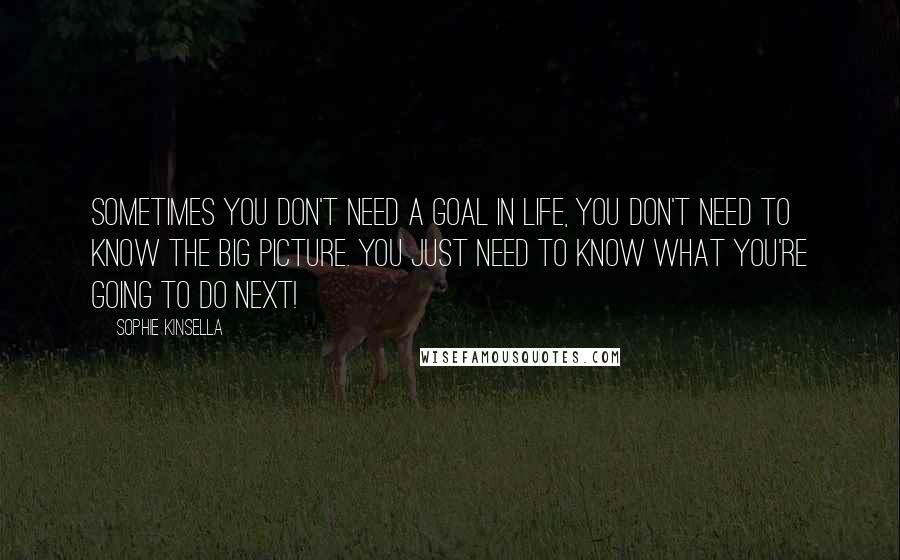 Sophie Kinsella Quotes: Sometimes you don't need a goal in life, you don't need to know the big picture. you just need to know what you're going to do next!