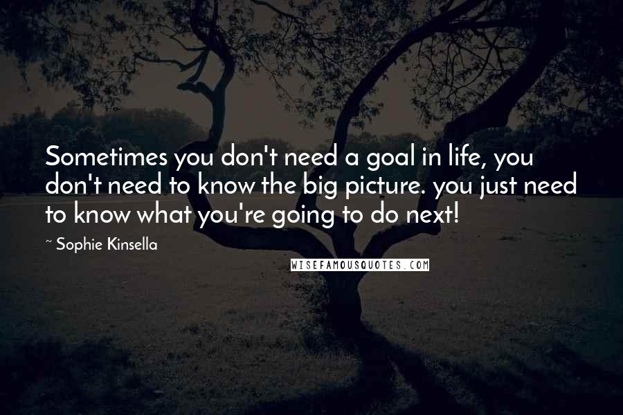 Sophie Kinsella Quotes: Sometimes you don't need a goal in life, you don't need to know the big picture. you just need to know what you're going to do next!