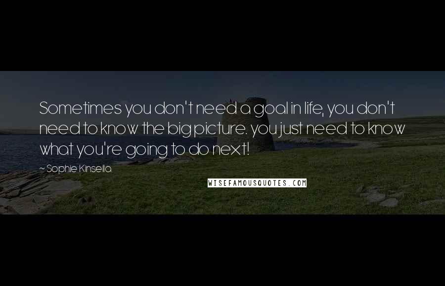 Sophie Kinsella Quotes: Sometimes you don't need a goal in life, you don't need to know the big picture. you just need to know what you're going to do next!