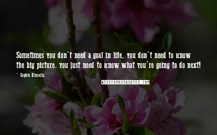 Sophie Kinsella Quotes: Sometimes you don't need a goal in life, you don't need to know the big picture. you just need to know what you're going to do next!