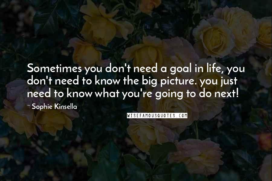 Sophie Kinsella Quotes: Sometimes you don't need a goal in life, you don't need to know the big picture. you just need to know what you're going to do next!