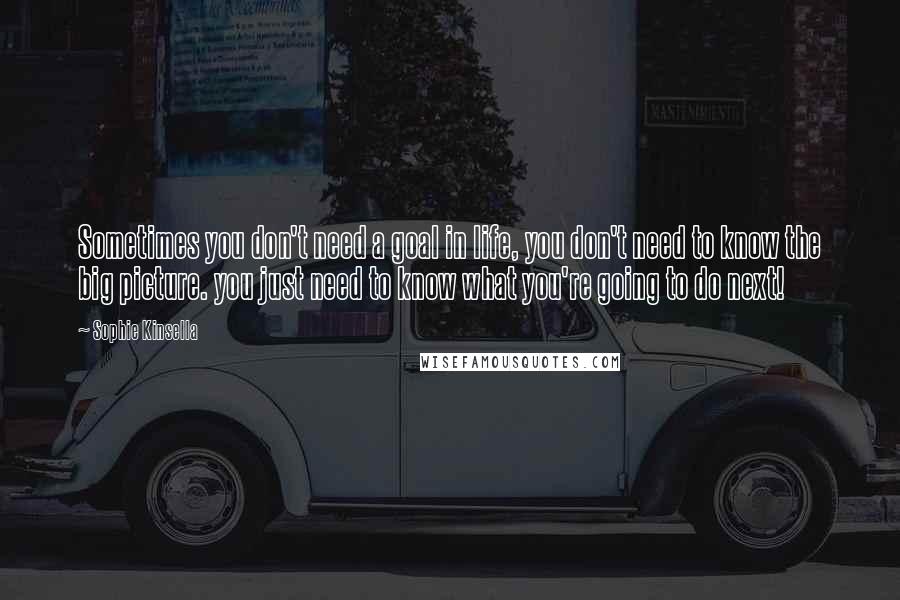 Sophie Kinsella Quotes: Sometimes you don't need a goal in life, you don't need to know the big picture. you just need to know what you're going to do next!