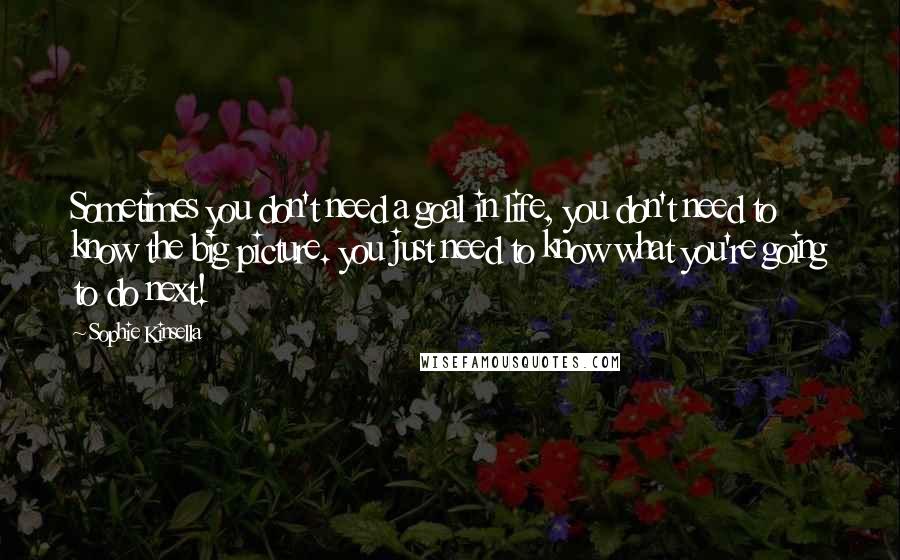 Sophie Kinsella Quotes: Sometimes you don't need a goal in life, you don't need to know the big picture. you just need to know what you're going to do next!