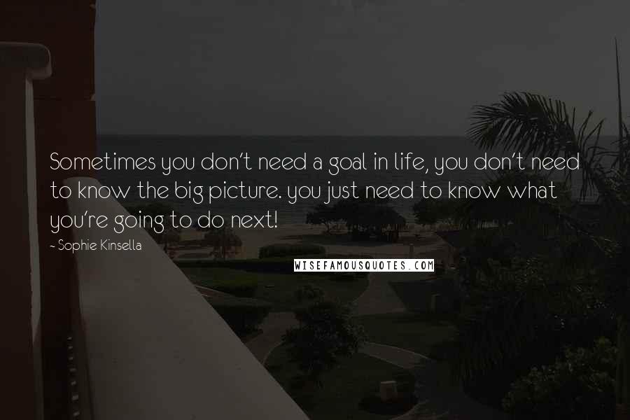 Sophie Kinsella Quotes: Sometimes you don't need a goal in life, you don't need to know the big picture. you just need to know what you're going to do next!