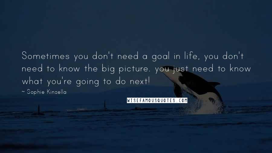 Sophie Kinsella Quotes: Sometimes you don't need a goal in life, you don't need to know the big picture. you just need to know what you're going to do next!