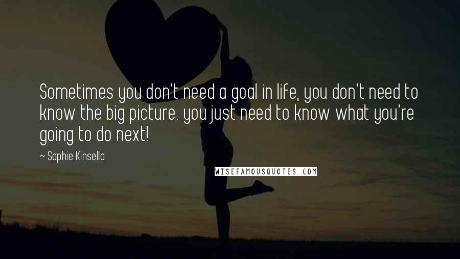 Sophie Kinsella Quotes: Sometimes you don't need a goal in life, you don't need to know the big picture. you just need to know what you're going to do next!