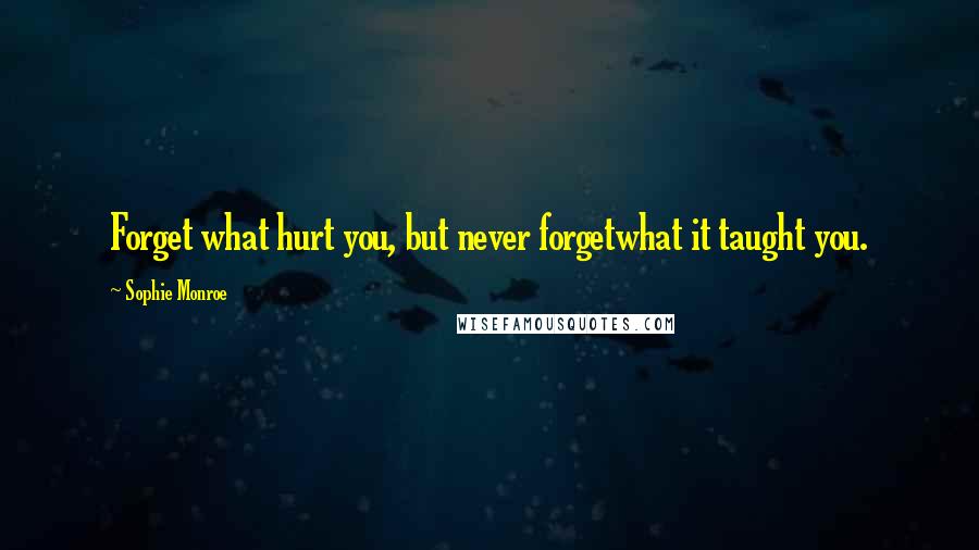 Sophie Monroe Quotes: Forget what hurt you, but never forgetwhat it taught you.