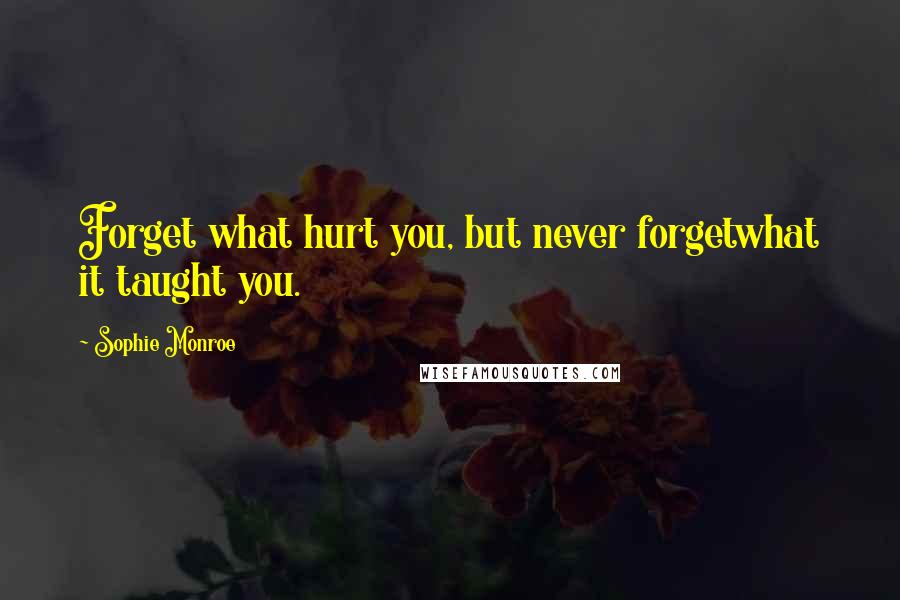 Sophie Monroe Quotes: Forget what hurt you, but never forgetwhat it taught you.