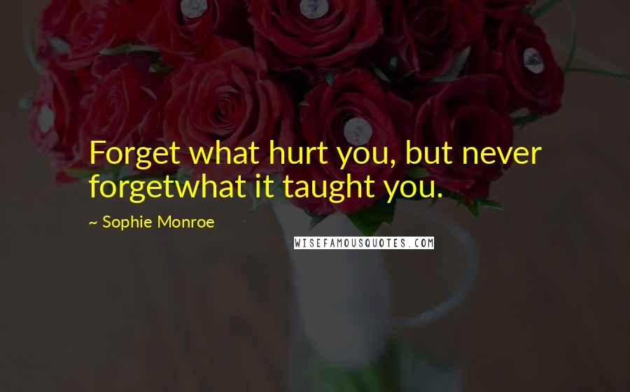 Sophie Monroe Quotes: Forget what hurt you, but never forgetwhat it taught you.