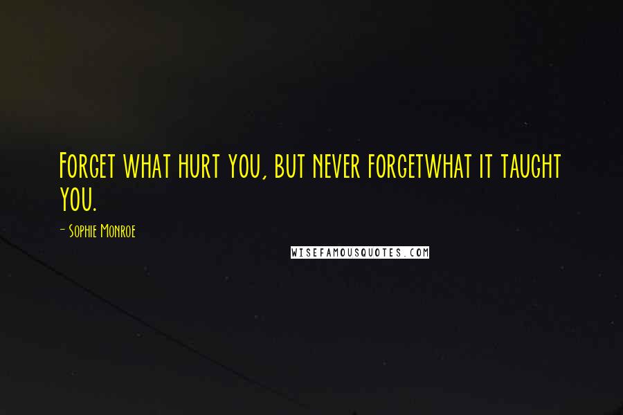 Sophie Monroe Quotes: Forget what hurt you, but never forgetwhat it taught you.