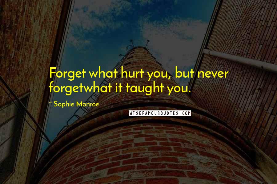 Sophie Monroe Quotes: Forget what hurt you, but never forgetwhat it taught you.