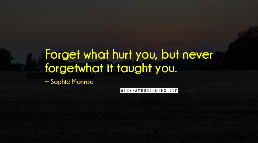 Sophie Monroe Quotes: Forget what hurt you, but never forgetwhat it taught you.