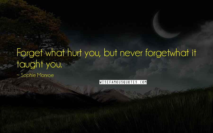 Sophie Monroe Quotes: Forget what hurt you, but never forgetwhat it taught you.