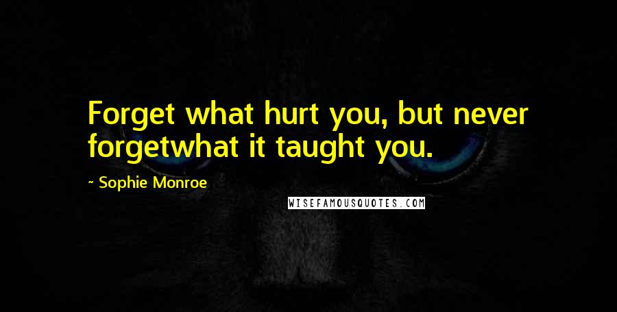 Sophie Monroe Quotes: Forget what hurt you, but never forgetwhat it taught you.