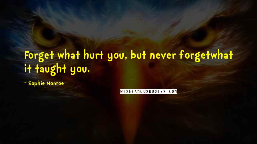 Sophie Monroe Quotes: Forget what hurt you, but never forgetwhat it taught you.