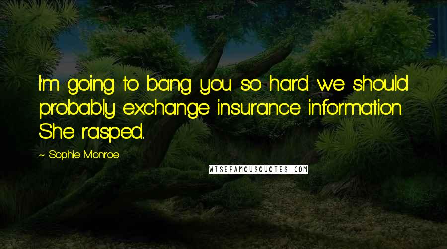 Sophie Monroe Quotes: I'm going to bang you so hard we should probably exchange insurance information. She rasped.