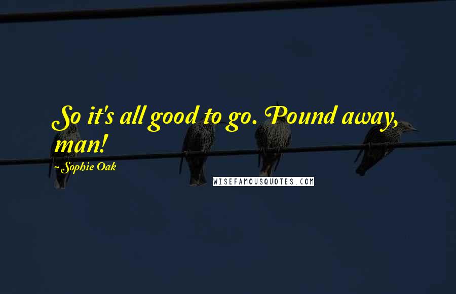 Sophie Oak Quotes: So it's all good to go. Pound away, man!
