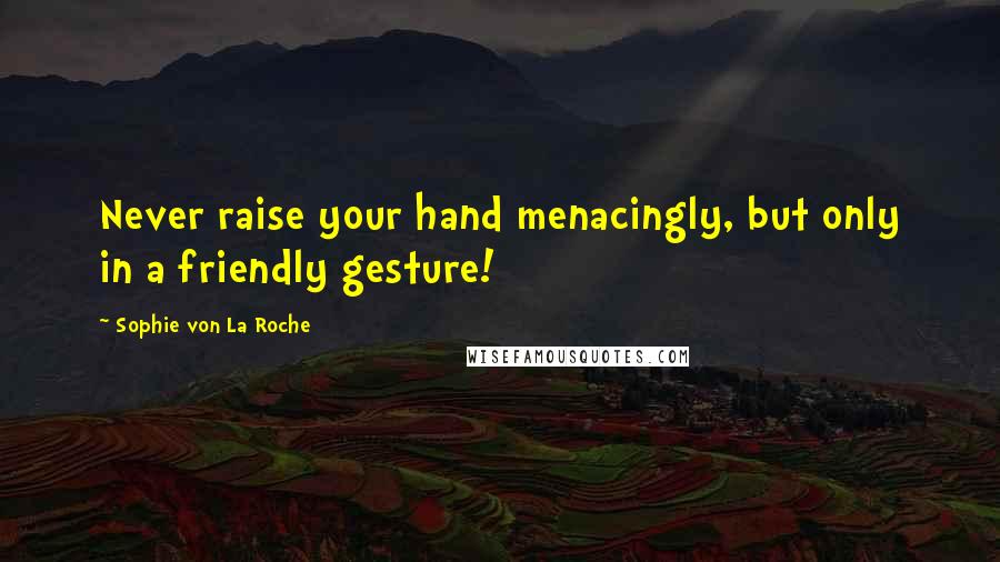 Sophie Von La Roche Quotes: Never raise your hand menacingly, but only in a friendly gesture!
