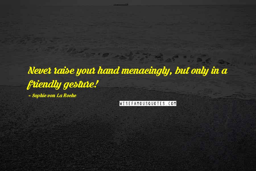 Sophie Von La Roche Quotes: Never raise your hand menacingly, but only in a friendly gesture!