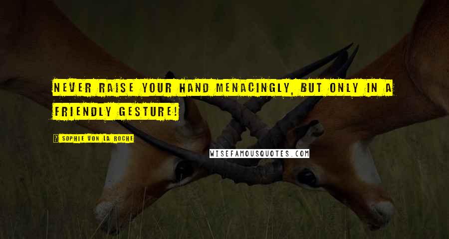 Sophie Von La Roche Quotes: Never raise your hand menacingly, but only in a friendly gesture!