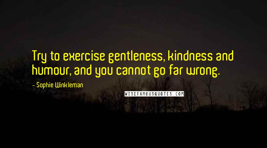 Sophie Winkleman Quotes: Try to exercise gentleness, kindness and humour, and you cannot go far wrong.